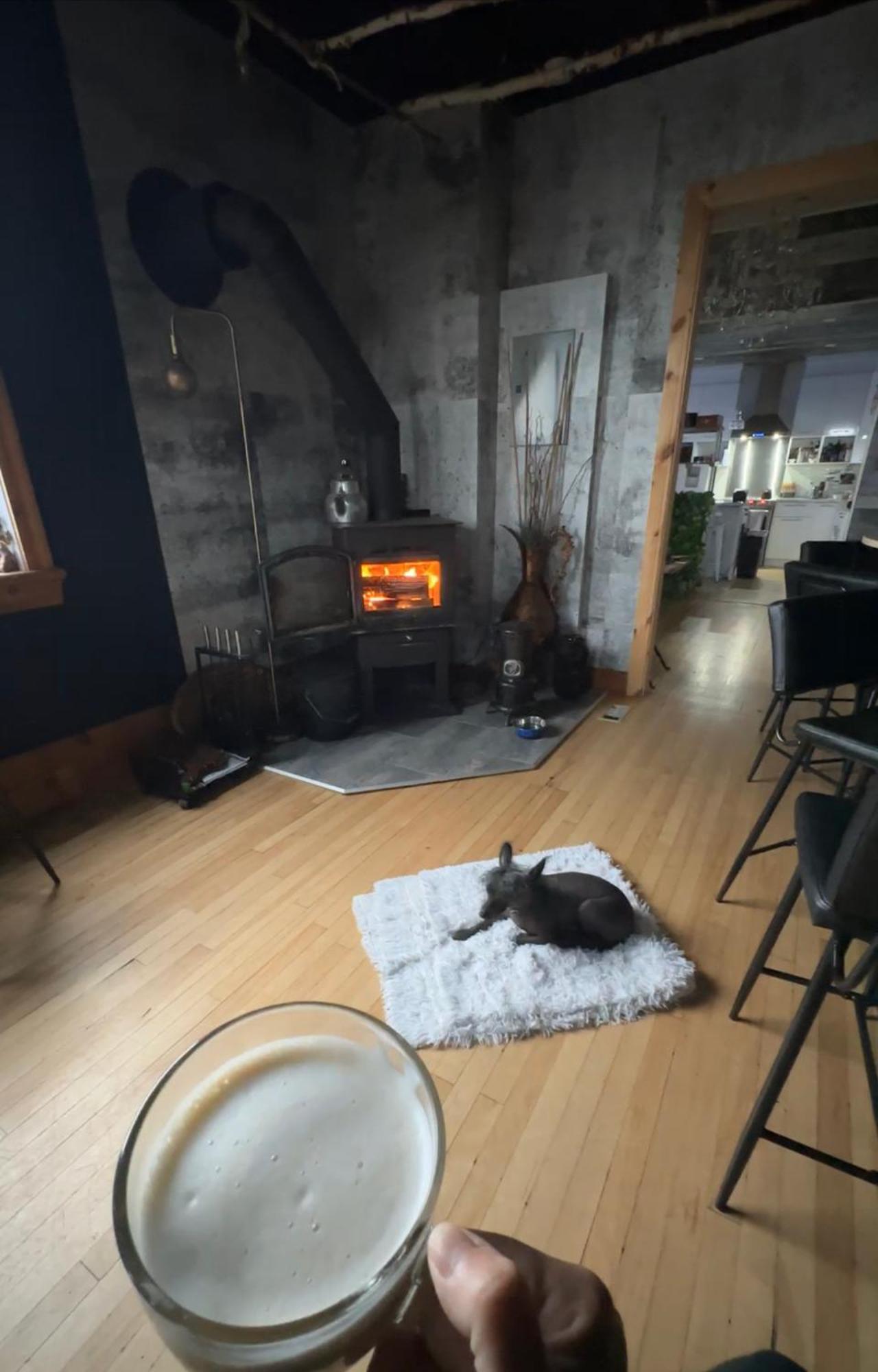 Auberge Et Bistro Namaste Lachute Eksteriør billede